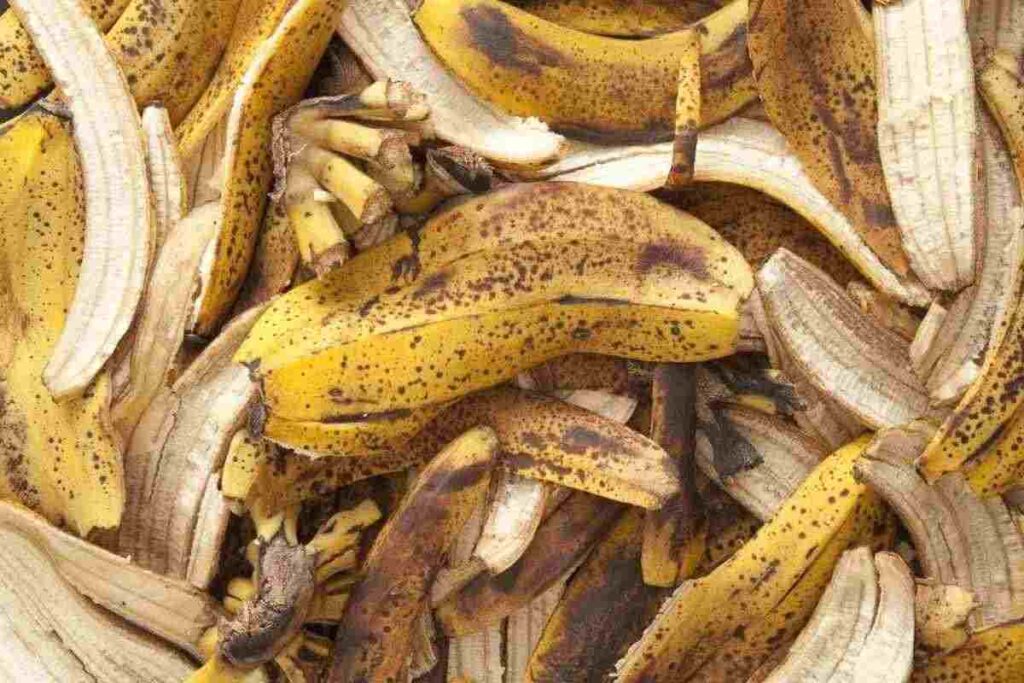 Se usi le bucce di banana puoi svoltare con queste piante: ecco cosa succede