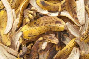 Se usi le bucce di banana puoi svoltare con queste piante: ecco cosa succede
